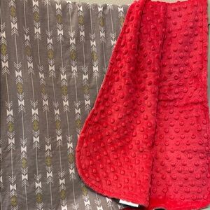 Red Minky Dot Baby Blanket